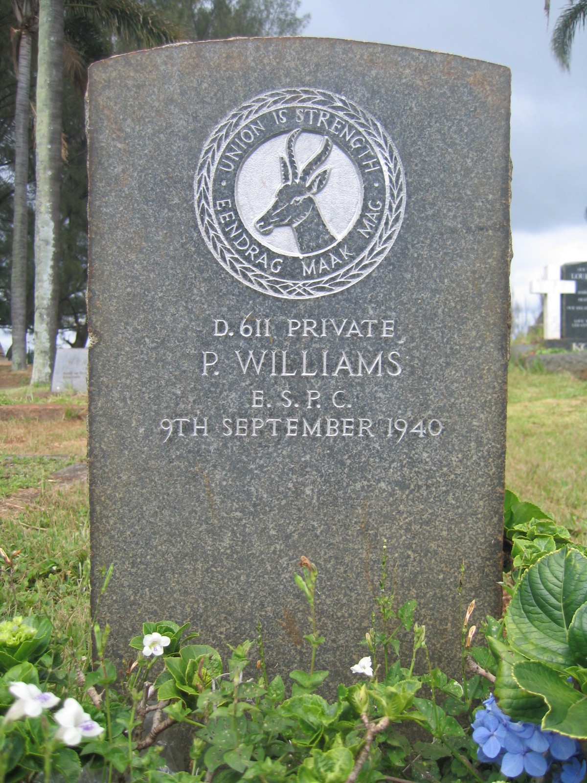 Photo from /search/photos/South Africa/Kwazulu Natal/DURBAN (STELLAWOOD) CEMETERY/williams_p.JPG
